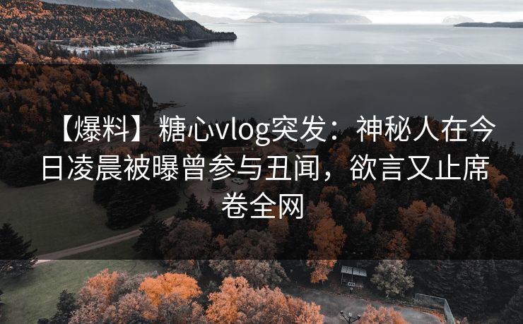 【爆料】糖心vlog突发：神秘人在今日凌晨被曝曾参与丑闻，欲言又止席卷全网