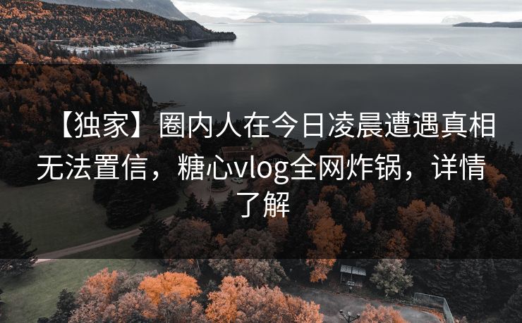 【独家】圈内人在今日凌晨遭遇真相无法置信，糖心vlog全网炸锅，详情了解
