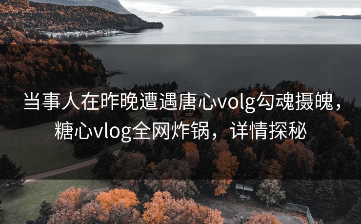 当事人在昨晚遭遇唐心volg勾魂摄魄，糖心vlog全网炸锅，详情探秘
