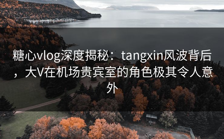 糖心vlog深度揭秘：tangxin风波背后，大V在机场贵宾室的角色极其令人意外